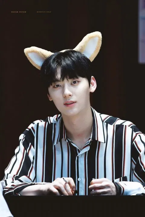 Hwang Min Hyun