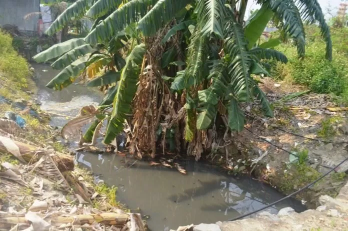 Môi trường sống