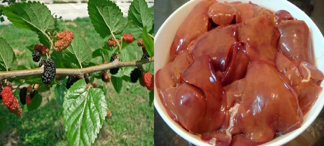 món ăn chữa thiếu máu 1