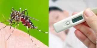 Nguyên nhân sốt xuất huyết