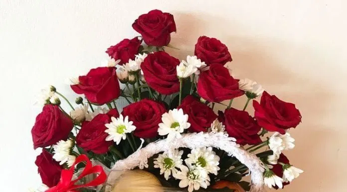 Qùa tết