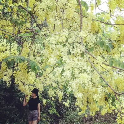 Khu du lịch Bò Cạp Vàng
