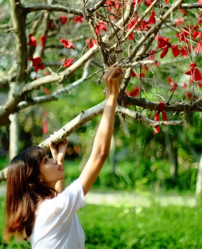 Khu du lịch Bò Cạp Vàng