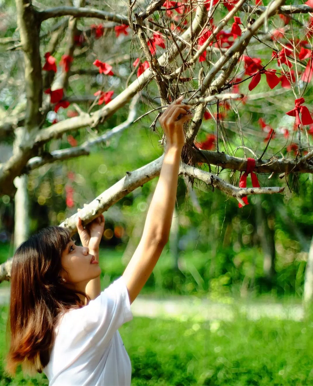 Khu du lịch Bò Cạp Vàng