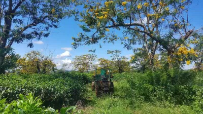 Khu du lịch Bò Cạp Vàng
