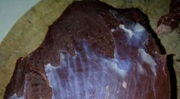 Khô bò miếng