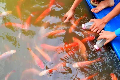 Khu du lịch Vinh Sang