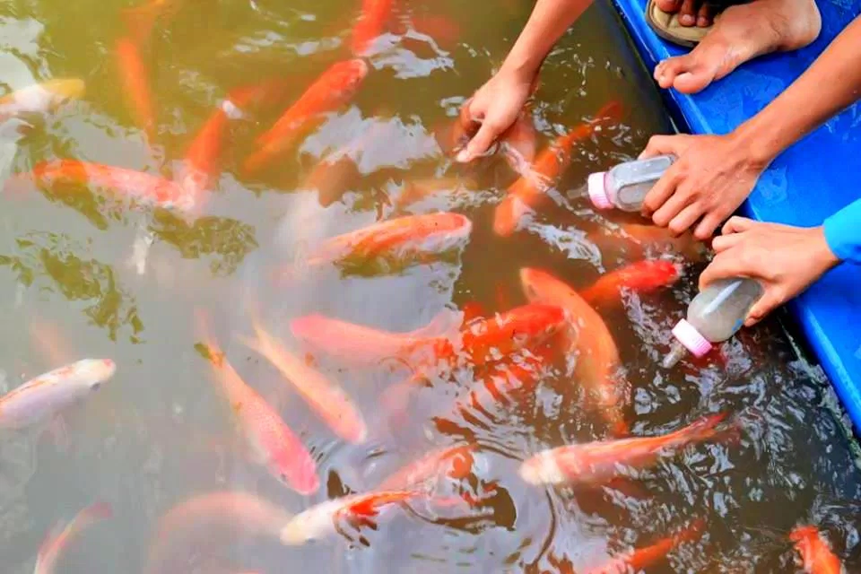 Khu du lịch Vinh Sang