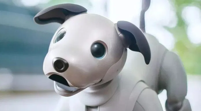 Chó robot Aibo