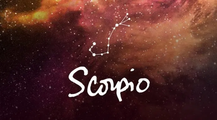 Bọ Cạp