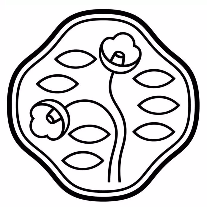 shiseido logo Mỹ phẩm Shiseido