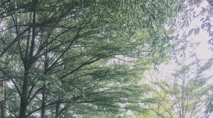Khu du lịch Thủy Châu