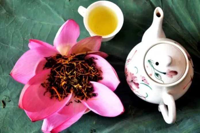 Uống trà sen