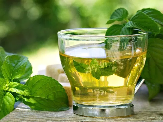 uống trà xanh đúng cách