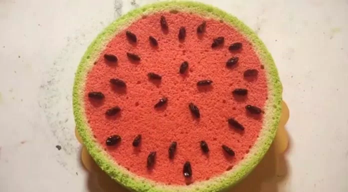 Bánh chiffon tạo hình dưa hấu 