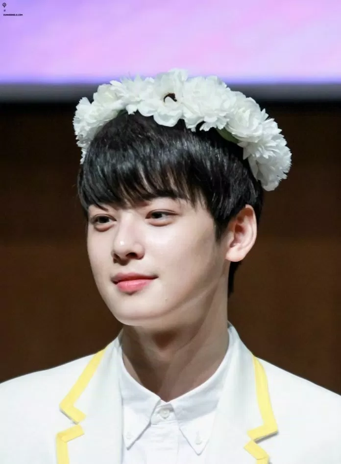 Cha Eun Woo