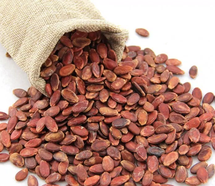 tác dụng các loại hạt