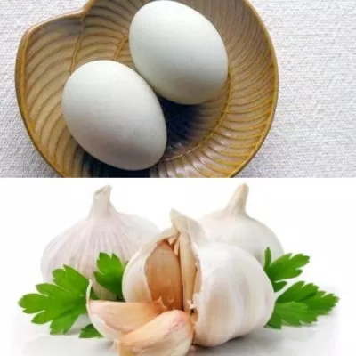 Tỏi và trứng