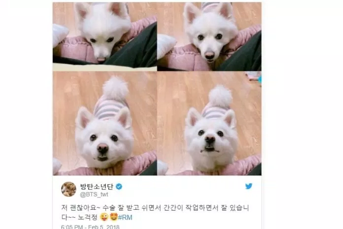 twitter BTS RM