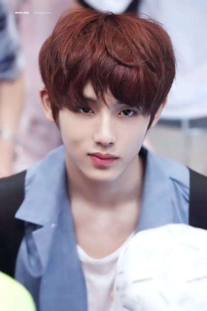 winwin