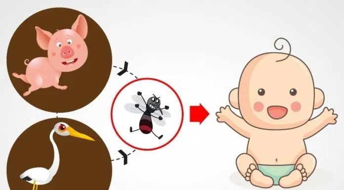 Bệnh mùa nóng ở trẻ em