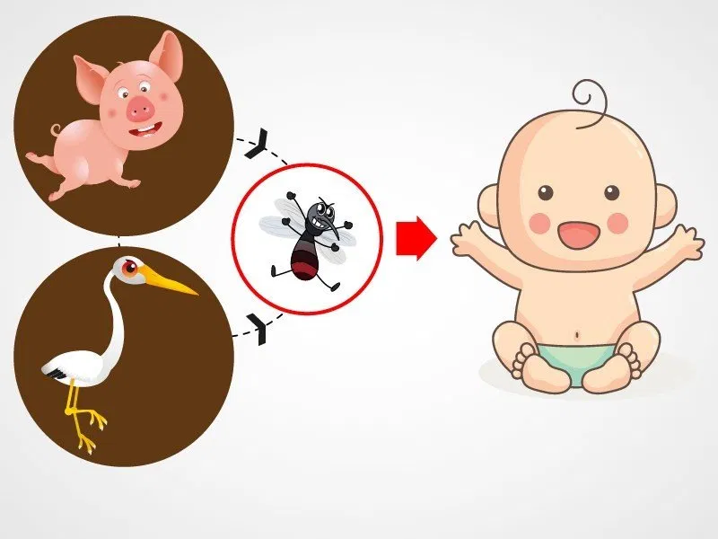 Bệnh mùa nóng ở trẻ em