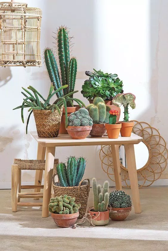 Mệnh Hỏa hợp với màu gì