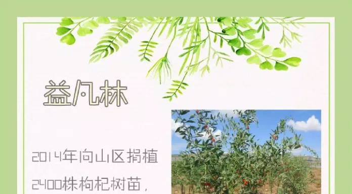 Ngô Diệc Phàm – ngôi sao chăm làm từ thiện truyền tải năng lượng tích cực