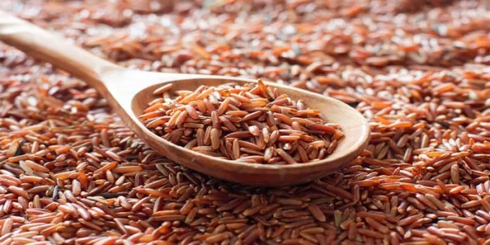 Chống lại các gốc tự do