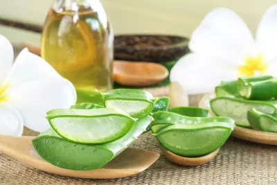 Tác dụng của nha đam