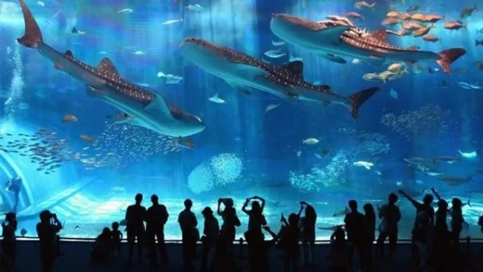 Vinpearl Land Nha Trang