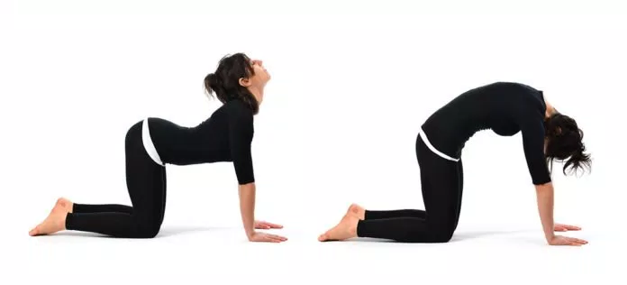 yoga giảm cân 6
