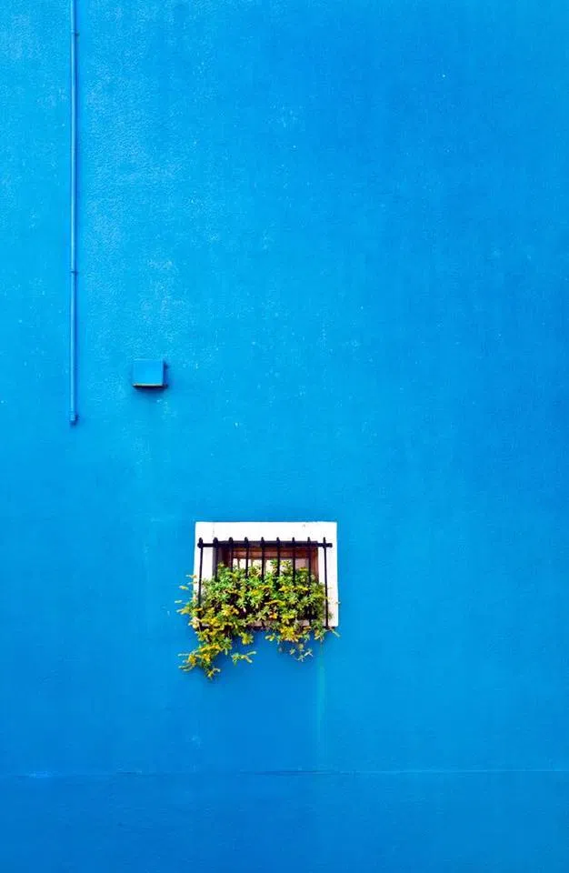 Mệnh Mộc hợp với màu gì?