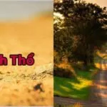 Mệnh Thổ hợp với màu gì