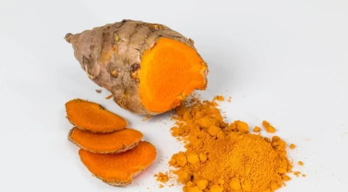 Nghệ