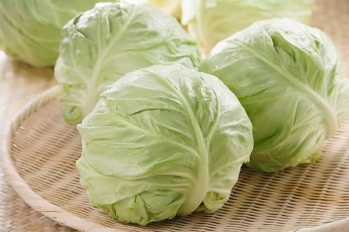 Đau dạ dày nên ăn gì?