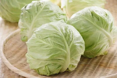 Đau dạ dày nên ăn gì?