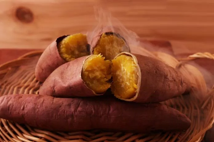 thực phẩm tốt cho bà bầu