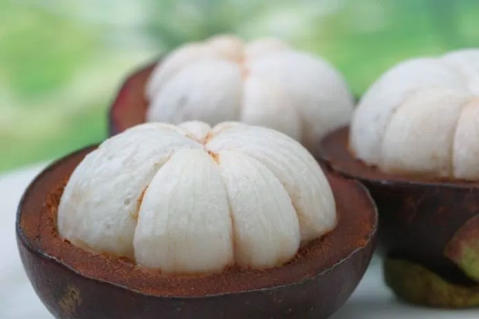 Măng cụt