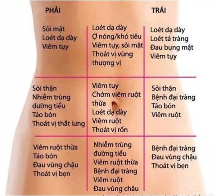 phân khu ổ bụng