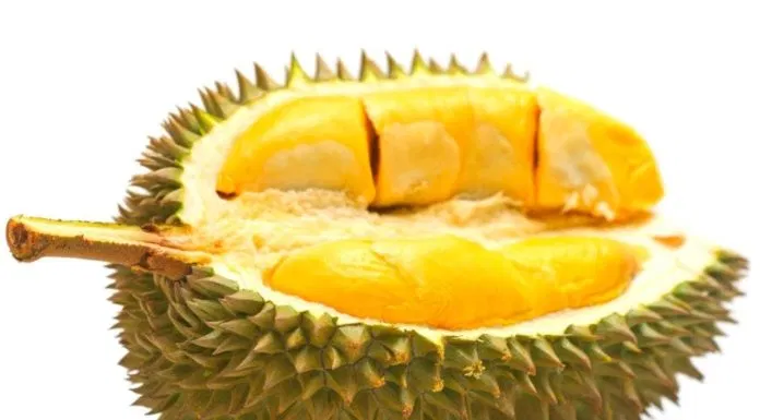 Sầu riêng Cái Mơn