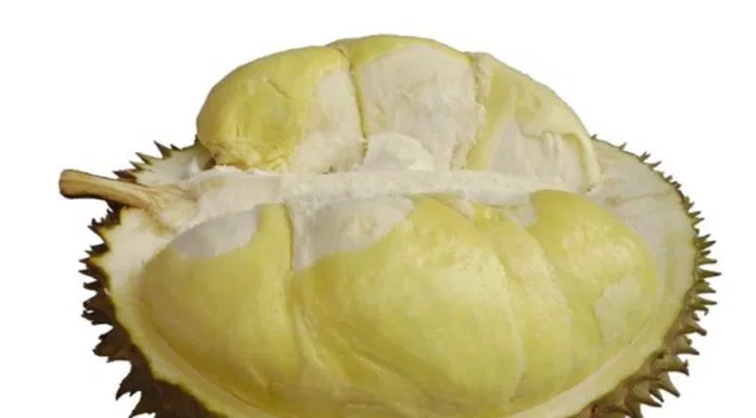 Sầu riêng Monthong Thái Lan