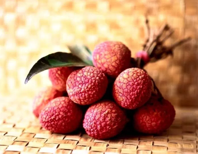 Công dụng của trái vải