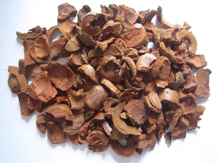 Vỏ quả măng cụt