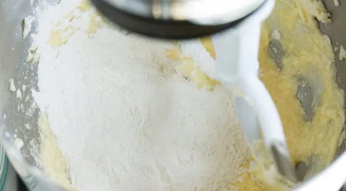 Bánh bơ việt quất