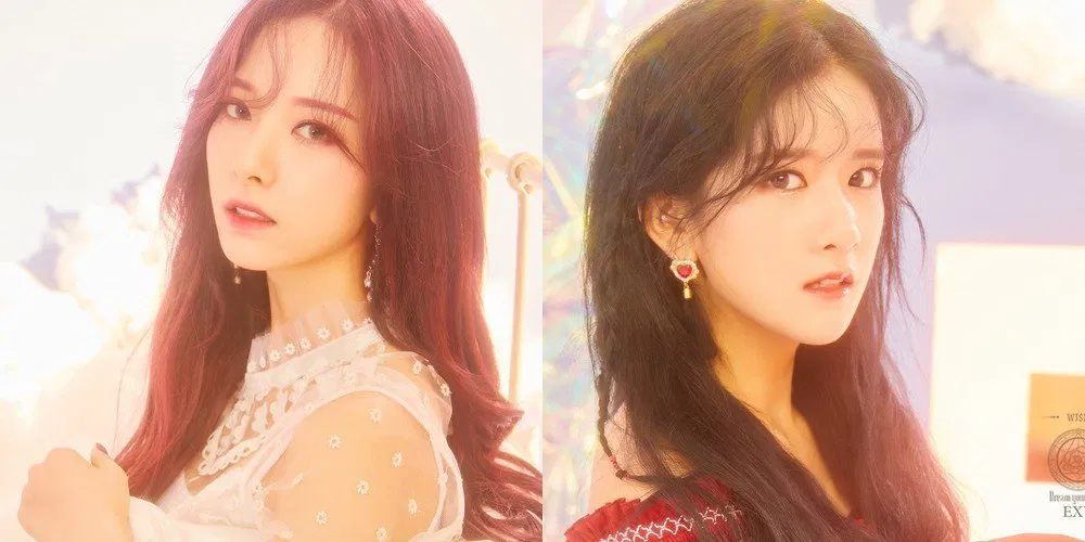 exy