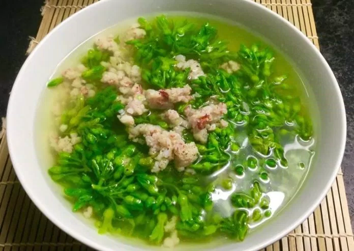 hoa thiên lý chữa mất ngủ