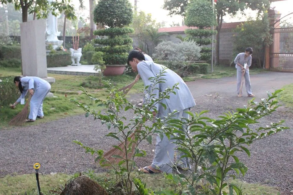 Lao động