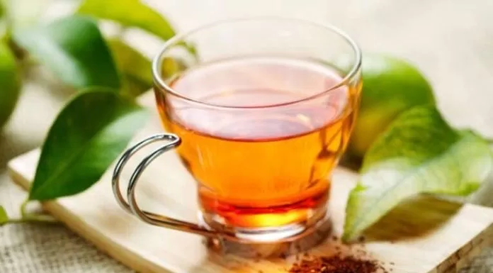 nước lá vối giải nhiệt