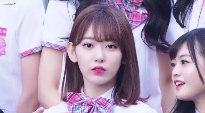 sakura
